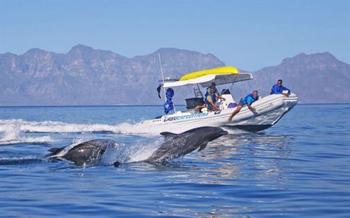 tendencia-el-arte-de-viajar-baja-california-sur-02