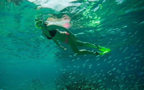 tendencia-el-arte-de-viajar-baja-california-sur-03