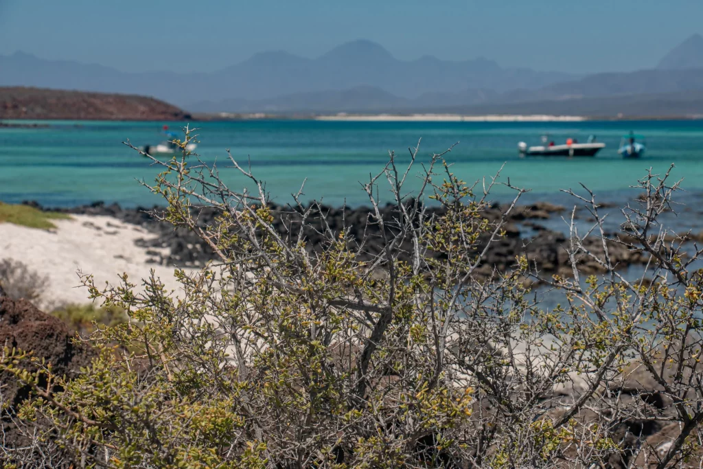 12 destinos Sudcalifornianos para conocer en Año Nuevo